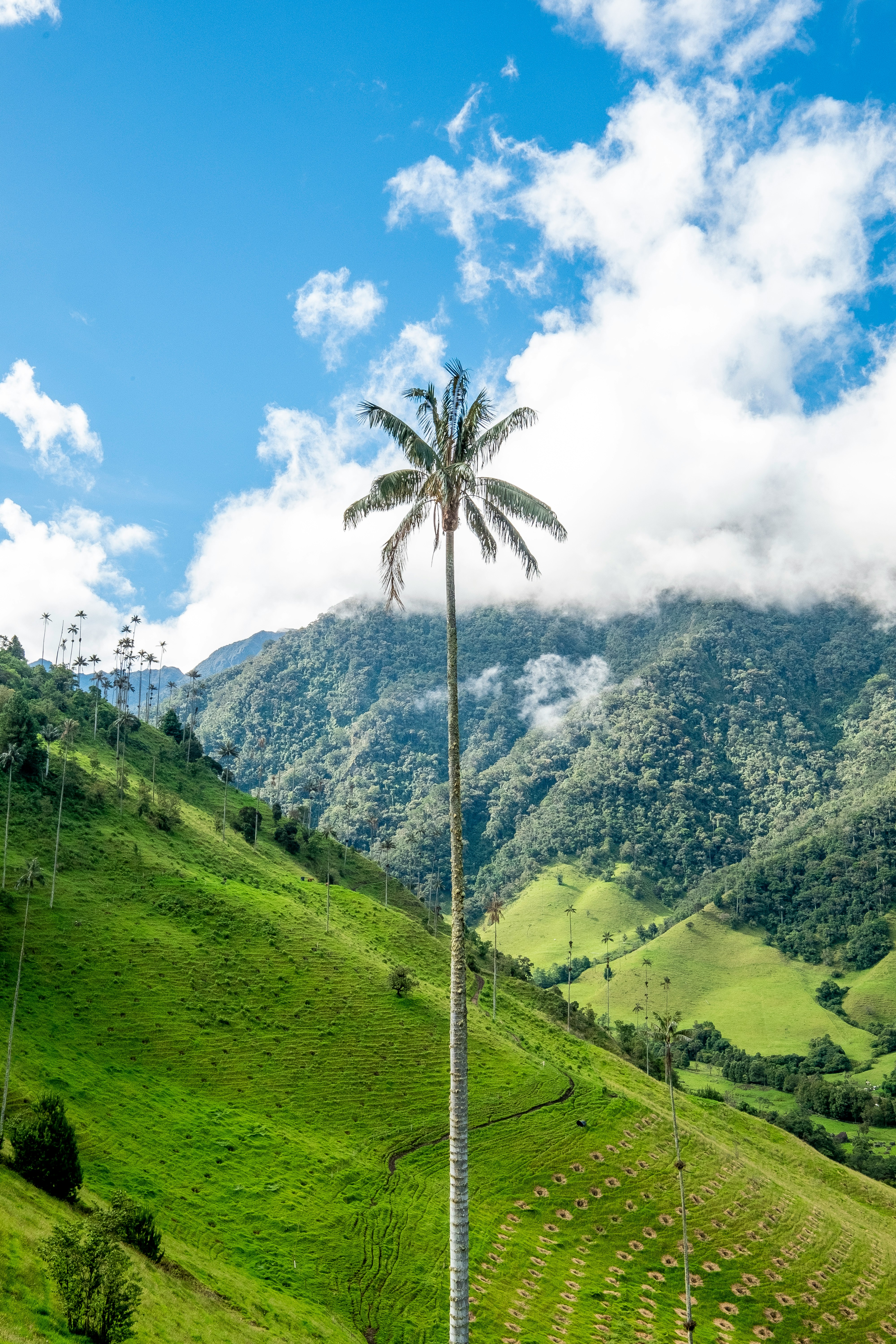 Foto de Colombia