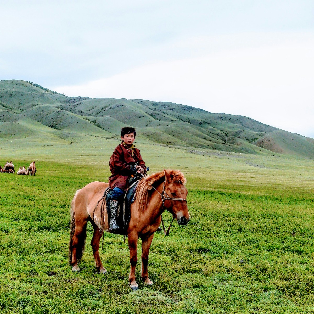 Foto de Mongolia
