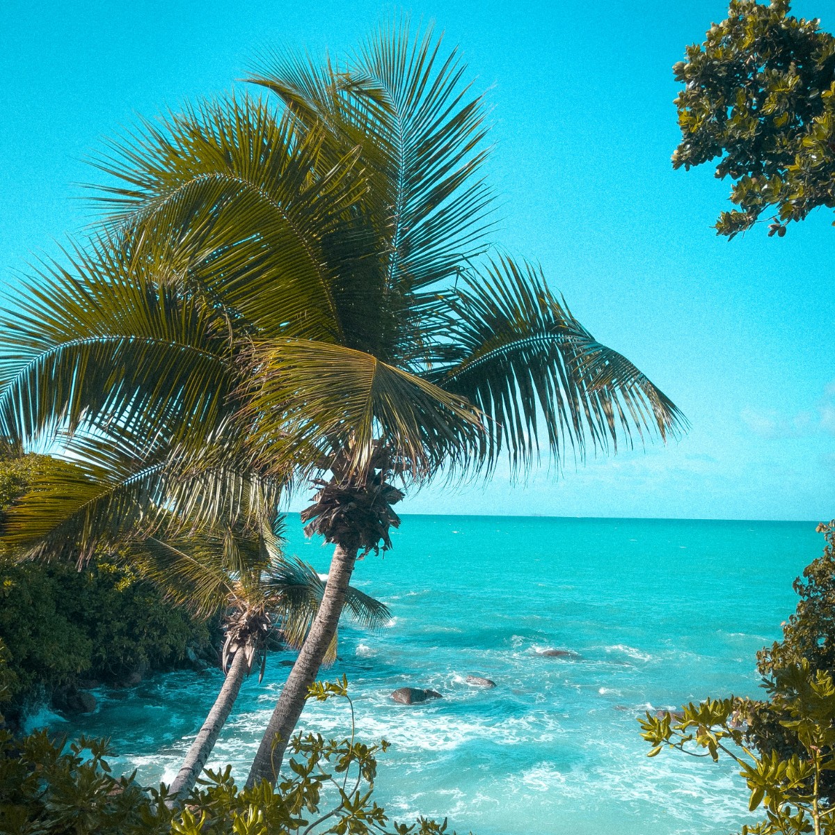 Foto de Seychelles