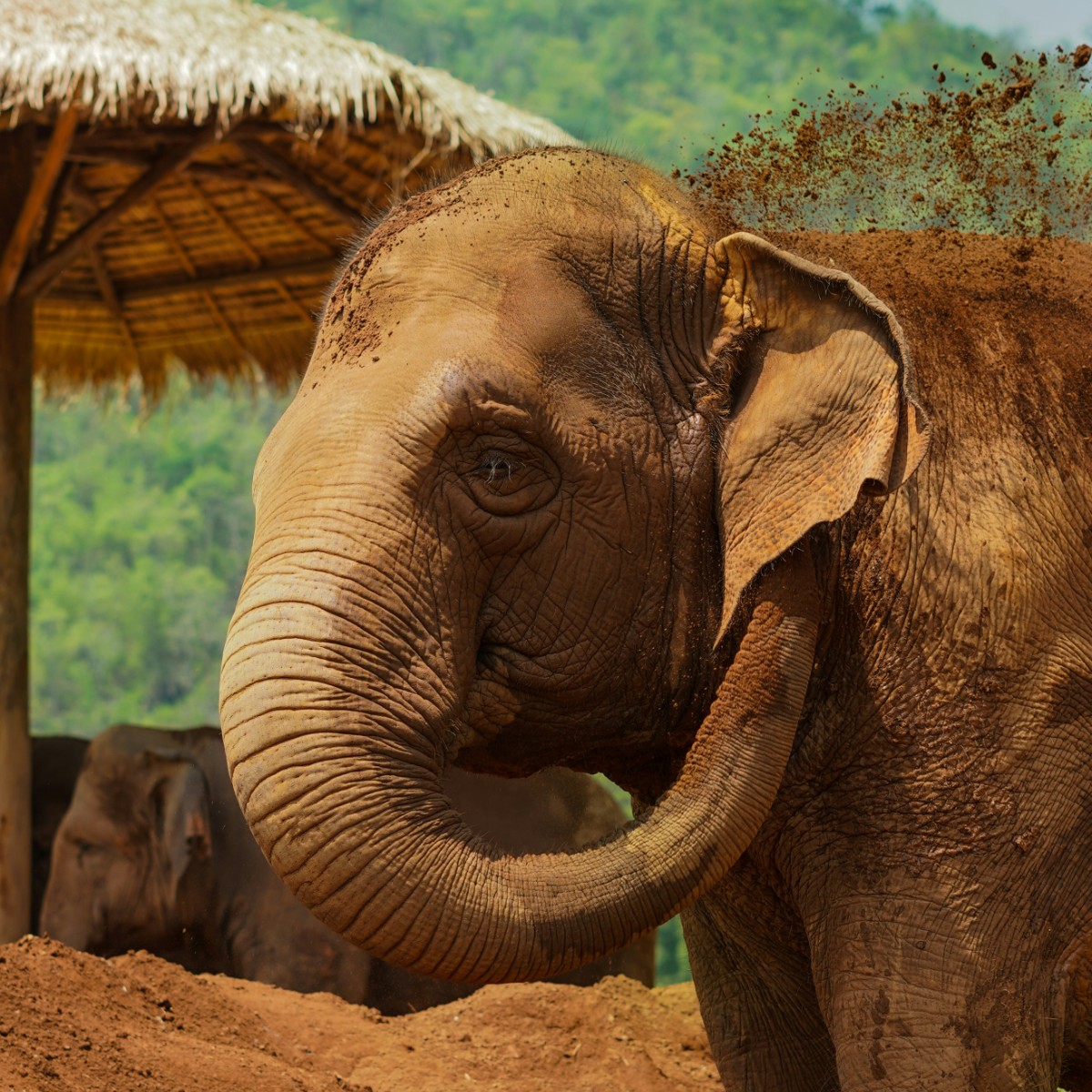 Foto de Tailandia