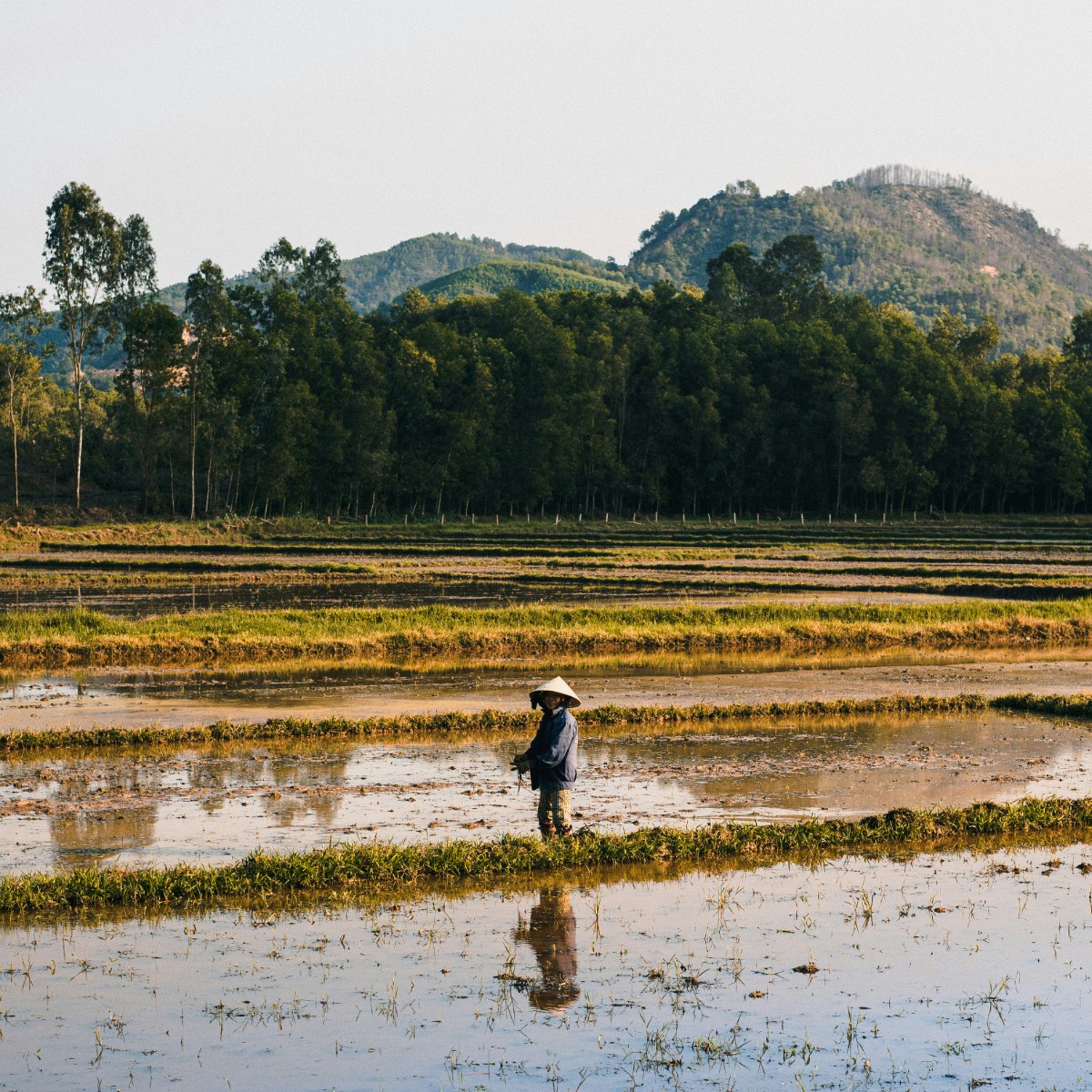 Foto de Vietnam